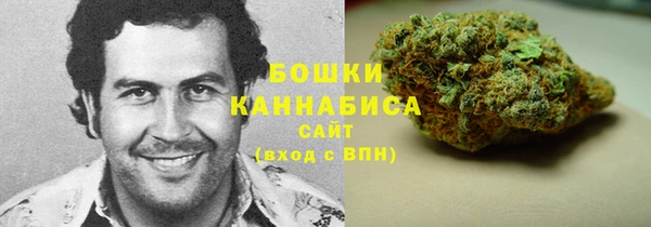 амф Няндома