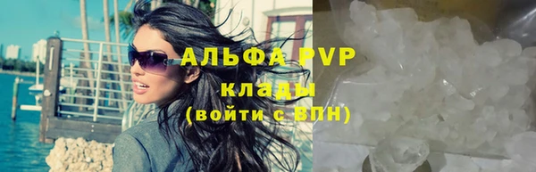амф Няндома