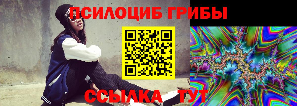 Псилоцибиновые грибы MAGIC MUSHROOMS  Вход с VPN  Псилоцибиновые грибы Psilocybine cubensis  купить наркотик  Югорск 